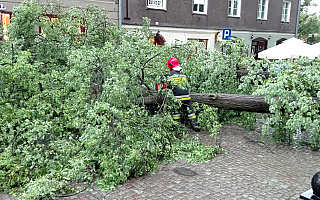 W Olsztynie zalane ulice, przewrócone drzewo